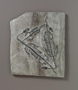 <i>Keichousaurus hui</i> (Triassic) Replica