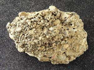 Conglomerate (With quartz pebbles)
