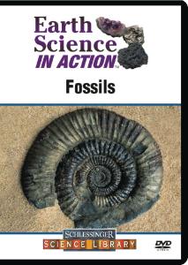 Earth Science in Action: Fossils DVD