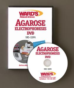 WARD’S Agarose Electrophoresis Training VHS/DVD