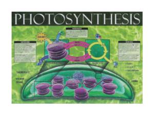 Cell Energy Posters