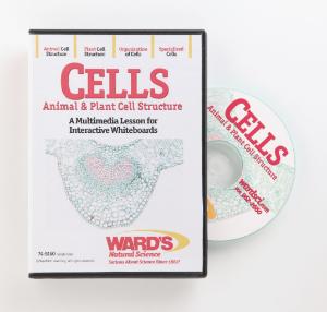 Interactive Whiteboard Science Lesson CD: Cells