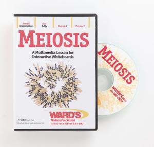 Interactive Whiteboard Science Lessons:  Meiosis