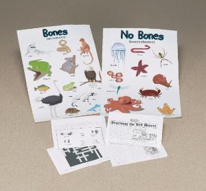 Bones & No Bones Posters and Study Kit