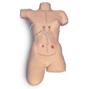 Life/form® Bandaging Simulator With Ostomy