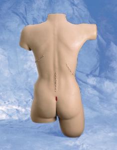 Life/form® Bandaging Simulator With Ostomy