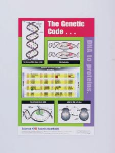 Ward's The Genetic Code: DNA To Proteins Poster