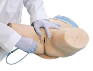 Life/form® Female Bladder Catheterization Simulator