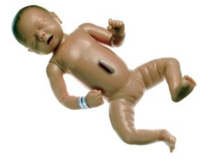 Somso® Newborn Care Dolls