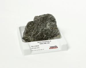 Diorite - Hornblende LS Medium-grained
