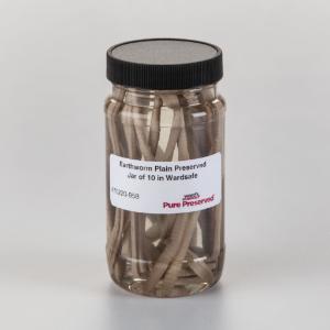 Ward's® Pure Preserved™ Earthworms