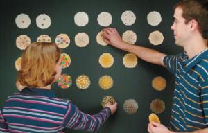 Periodic Table of Cookies Demonstration