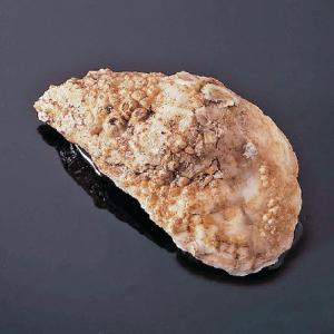 Preserved Oyster