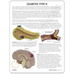 GPI Anatomicals® Type II Diabetes Model