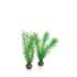 biOrb® Easy Plant Sets
