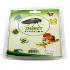 Insect plastomount collection set of 7