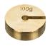 Brass 100 g slotted weight