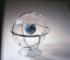 Transparent Celestial Globe, 12"