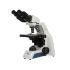 Microscope binocular point