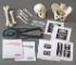 Sherlock Bones: Identification of Skeletal Remains Kit