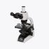 Microscope trinoc rackless LED 100X