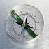 Projection Compass
