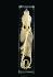 Ward's® Dogfish Skeleton Museum Mount