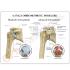 GPI Anatomicals® Osteoarthritis Stages