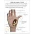 GPI Anatomicals® Osteoarthritis Hand