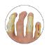 GPI Anatomicals® Osteoarthritis Hand Model